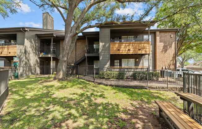 A tree in front of apartment buildings.