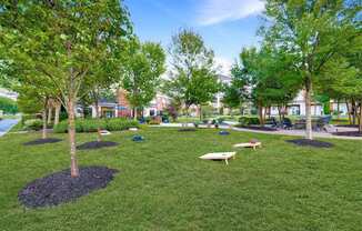 Common Area - Cornhole