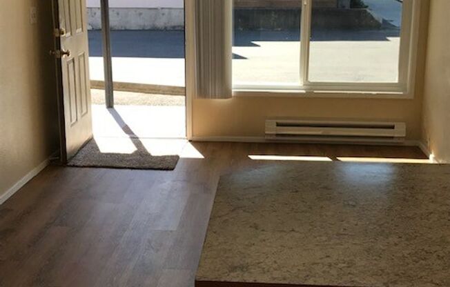 1 bed, 1 bath, 500 sqft, $1,545, Unit 1