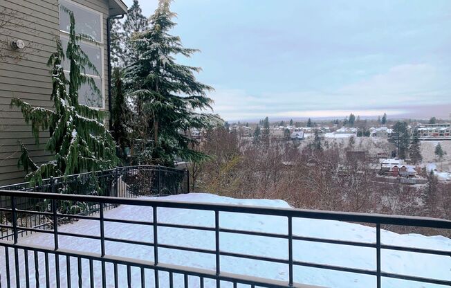 Studio, 1 bath, $850, Unit 02
