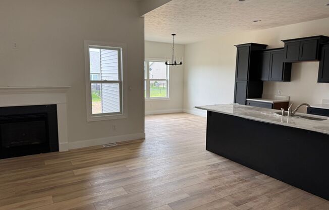 New Construction! West side location. 4br, 3bth, 2crg, Finished basement. All new stainless steel appliances. Next to Sangamon Valley Trails.