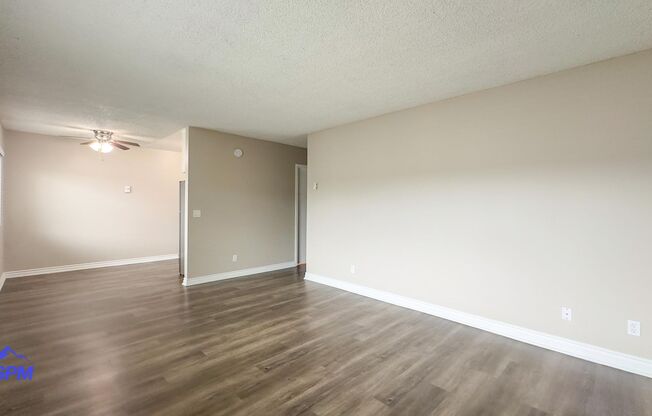 Imperial Beach Palms