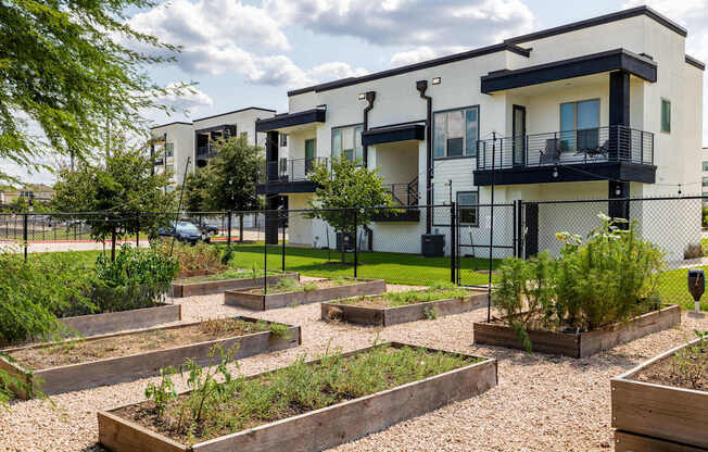 Rhythm Community Garden