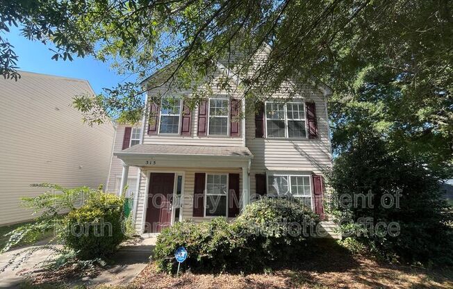 315 ALEXANDER PARK DR