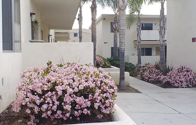 2 beds, 2 baths, 925 sqft, $2,450, Unit 29