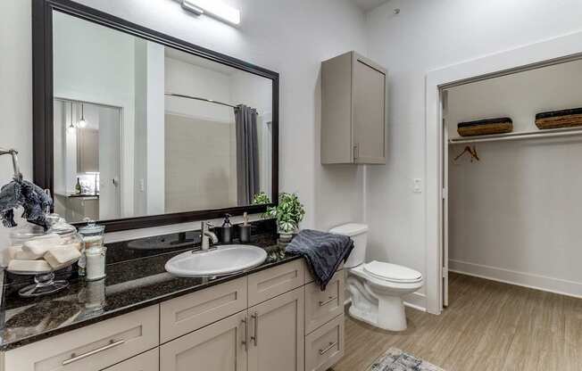 A bathroom with a sink, toilet, and mirror.