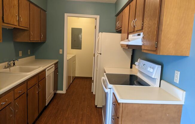 CAI 664 (B5-262-264)