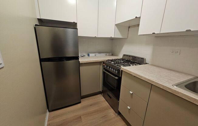525 W. Deming Place