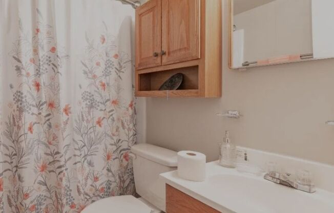 1 bed, 1 bath, 500 sqft, $999