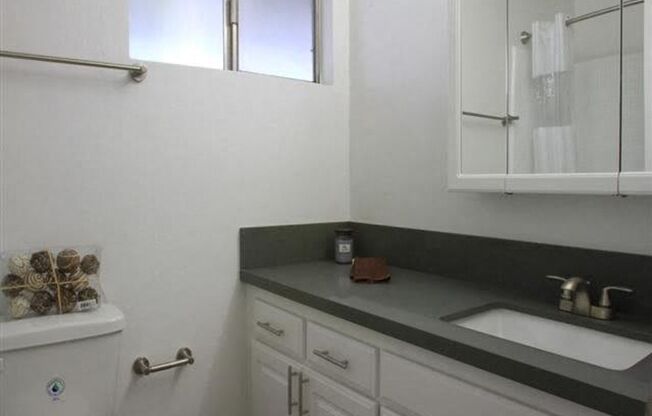 Studio, 1 bath, 500 sqft, $1,595, Unit 109