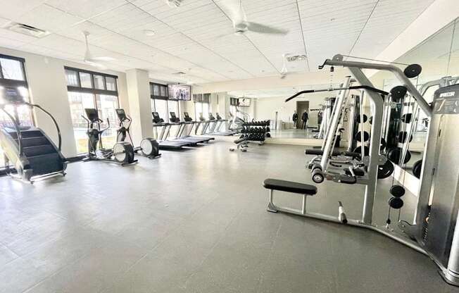 the gym has plenty of weights and cardio equipment in it