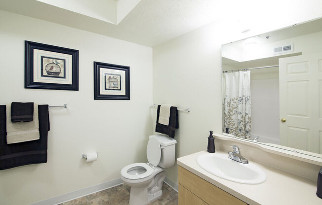 Upgraded Bathroom Fixtures at Stoney Pointe Apartment Homes, Wichita