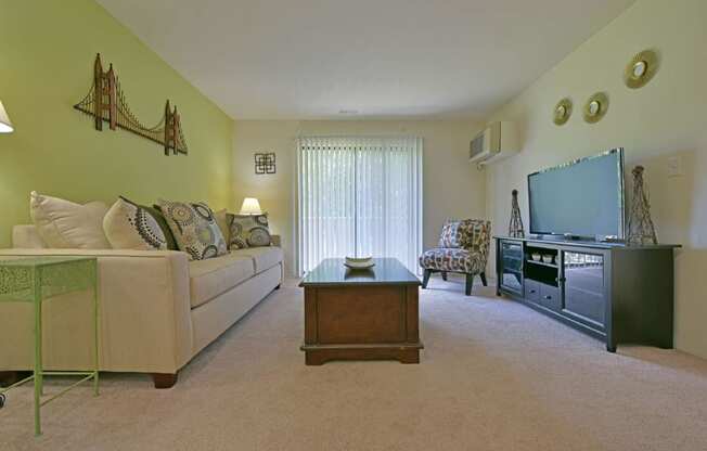a living room with a couch coffee table and a television