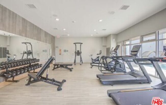 Studio, 1 bath, 460 sqft, $1,712, Unit 1330