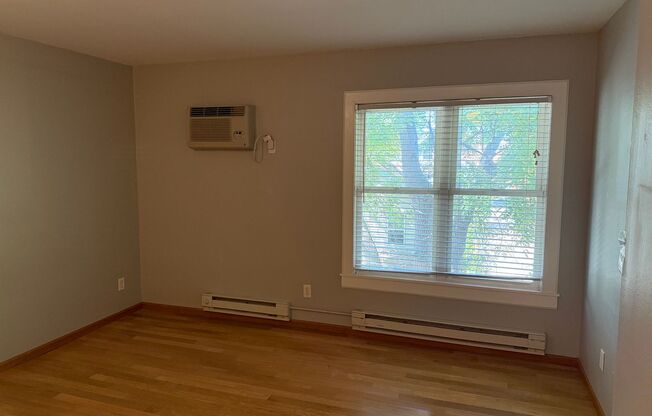 Studio, 1 bath, 350 sqft, $1,100, Unit Unit 309