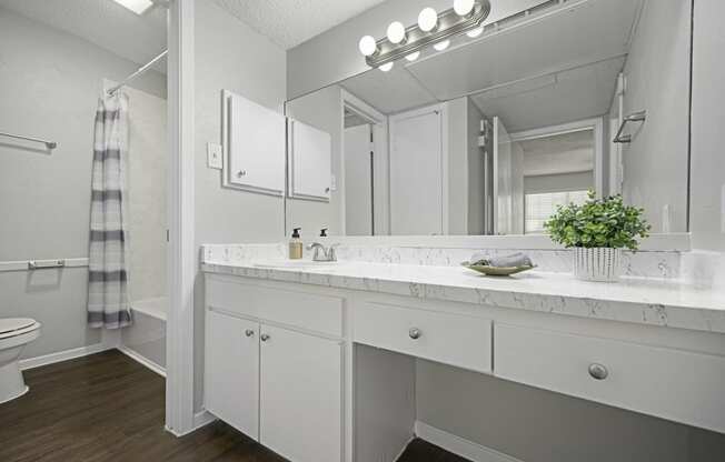 a bathroom with a large mirror and a sink and a toilet