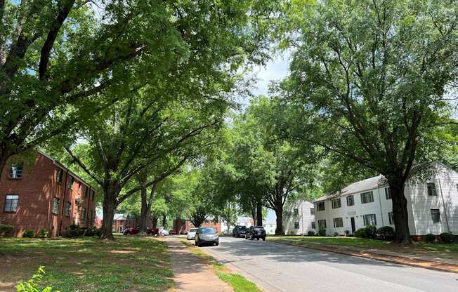 a street with houses and trees on both sides