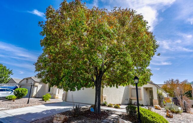 3 Bedroom Single Story Northwest Vegas Home