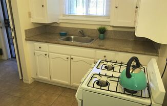 Studio, 1 bath, 300 sqft, $1,450, Unit 1411