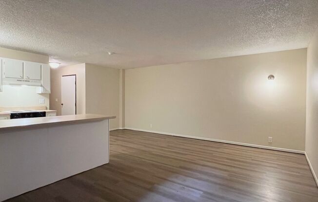 Studio, 1 bath, 495 sqft, $1,125, Unit 3