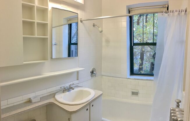 Studio, 1 bath, 233 sqft, $1,190, Unit 802