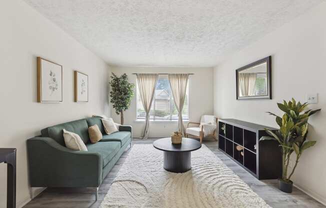 a living room with a green couch and a rug