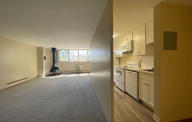 Fully Updated 2 Bed/ 2 Bath Apartment in Capital Hill