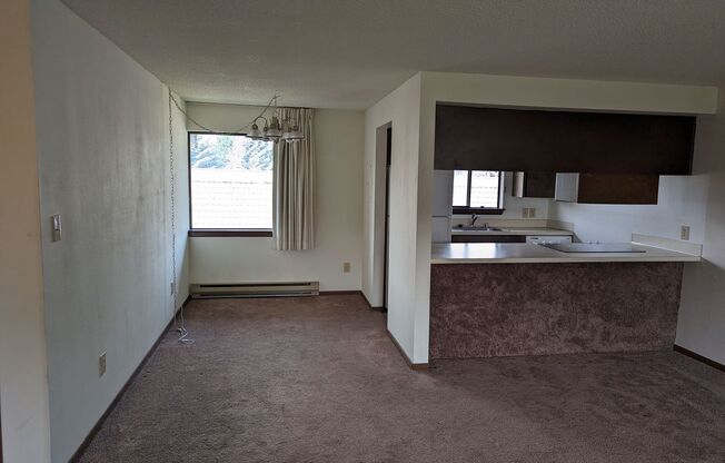 2 beds, 1 bath, $1,100