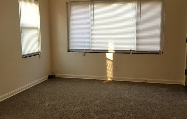313 Ridgedale