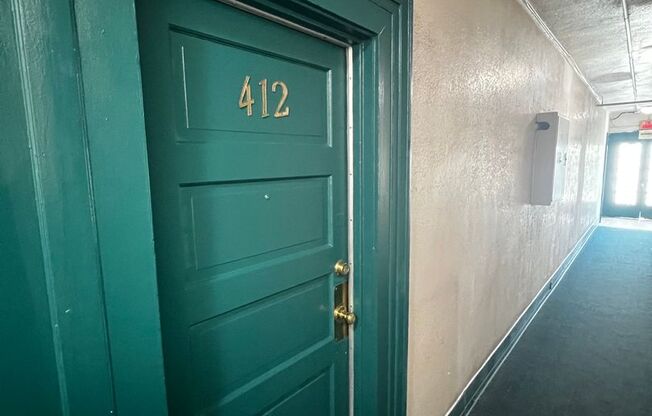 Studio, 1 bath, 380 sqft, $1,225, Unit 412