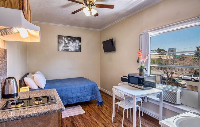 Studio, 1 bath, 156 sqft, $1,095.42, Unit 205
