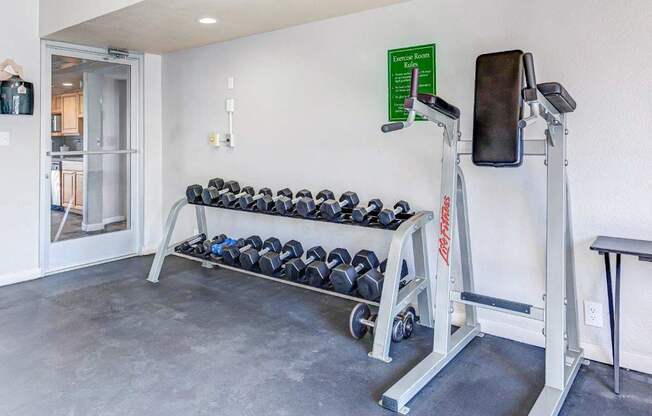 A gym room with a bench, weights, and a barbell.