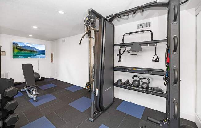 A apartment gym with a squat rack, weights, and a flat screen TV.