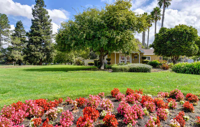 Community grounds with large grassy felid area, red flowers and leasing office in the distance. 