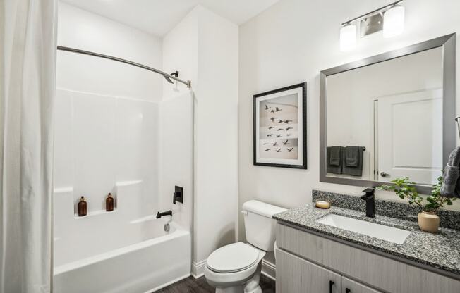 a bathroom with a shower toilet and sink and a mirror