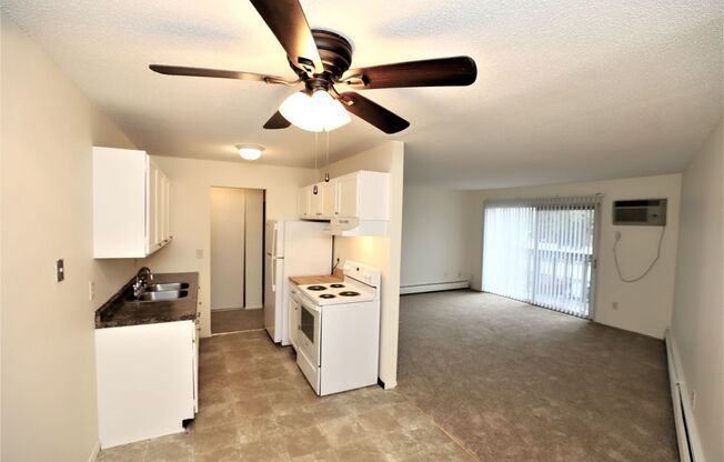 1 bed, 1 bath, 700 sqft, $1,025, Unit 303