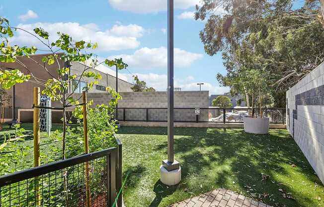 Lawn at Bayview Apartments, Emeryville