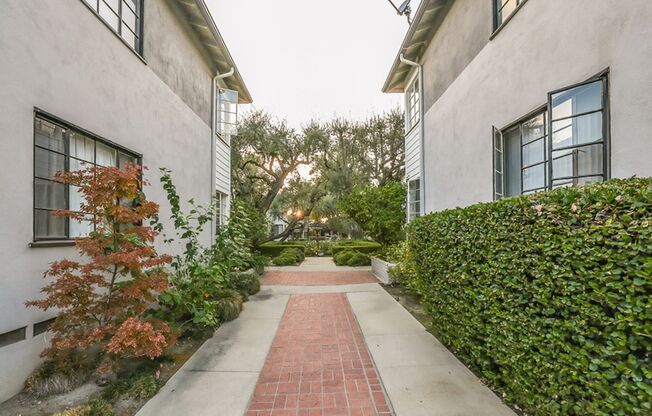 Home-Sweet-Home Vibe in Olive Tree!