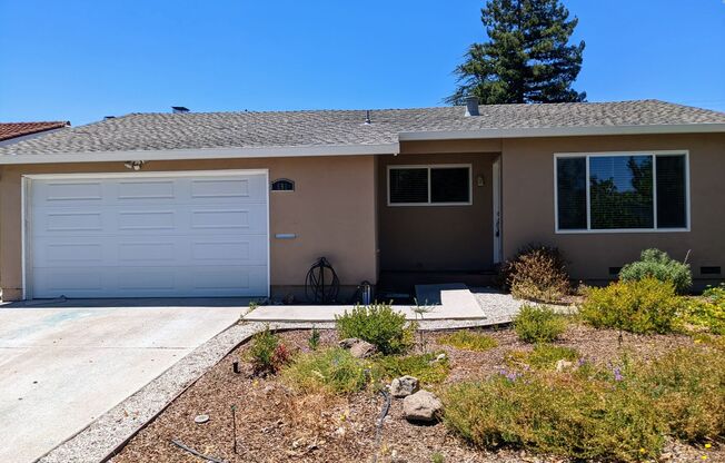 Remodeled 4 Bed 2 Bath Sunnyvale Home - Spacious Floorplan!