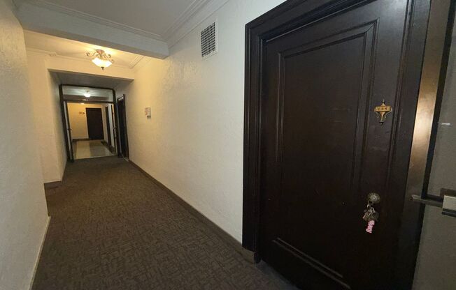 Studio, 1 bath, 315 sqft, $1,200, Unit New King Edward 1A4