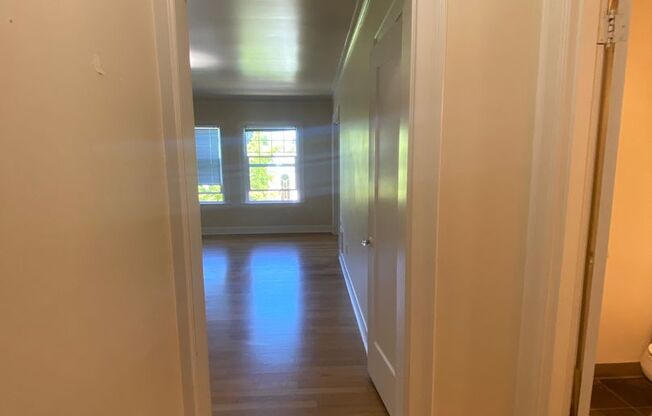 Studio, 1 bath, 454 sqft, $1,545, Unit 303