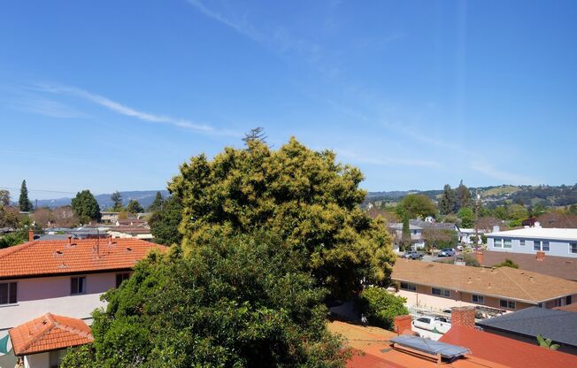 1 bed, 1 bath, 650 sqft, $1,975, Unit 315