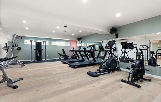 the gym is equipped with state of the art equipment