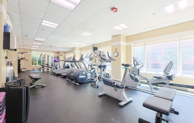 1 bed, 1 bath, 863 sqft, $3,500, Unit 703