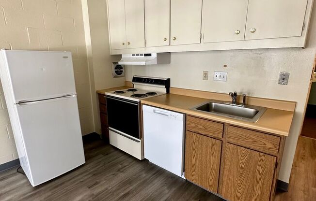 Studio, 1 bath, 302 sqft, $1,100, Unit 403