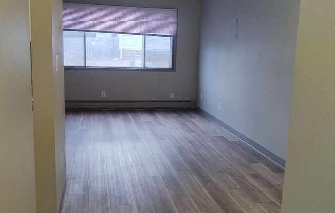 Studio, 1 bath, 475 sqft, $650