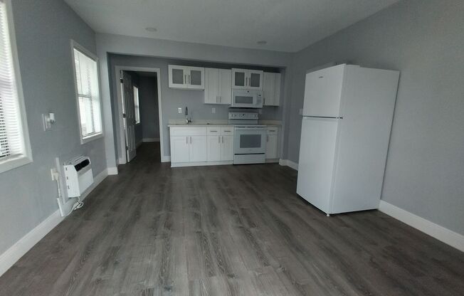 1 bed, 1 bath, $1,095