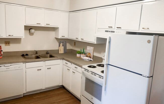 LIVE OKEMOS VILLAGE APARTMENTS