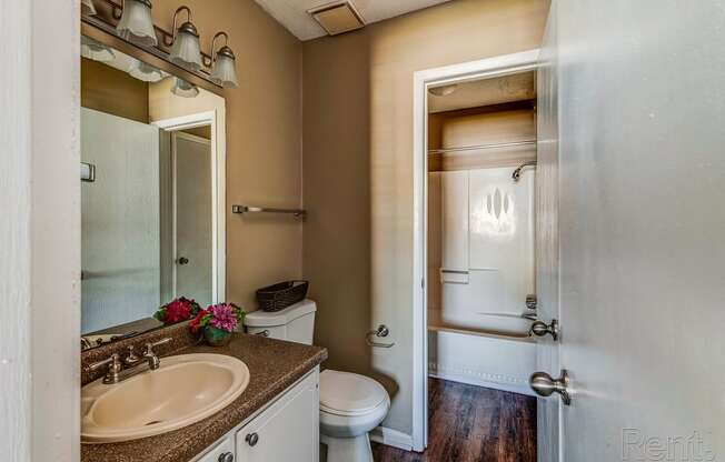 a bathroom with a sink and a toilet and a shower