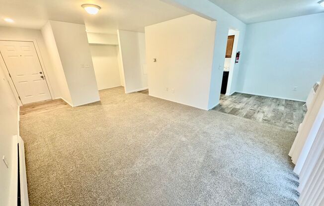 2 beds, 1 bath, 1,000 sqft, $1,295, Unit 101